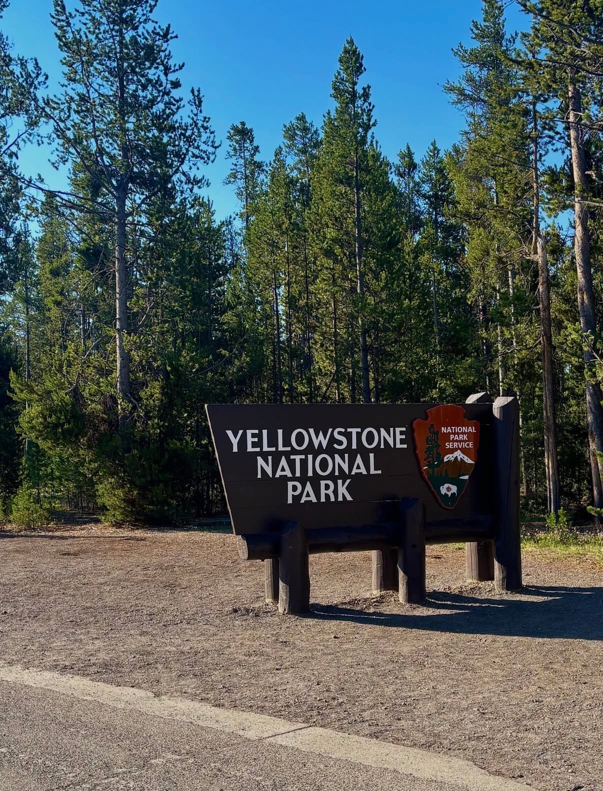 The Yellowstone National Park entrance sign among tall pines