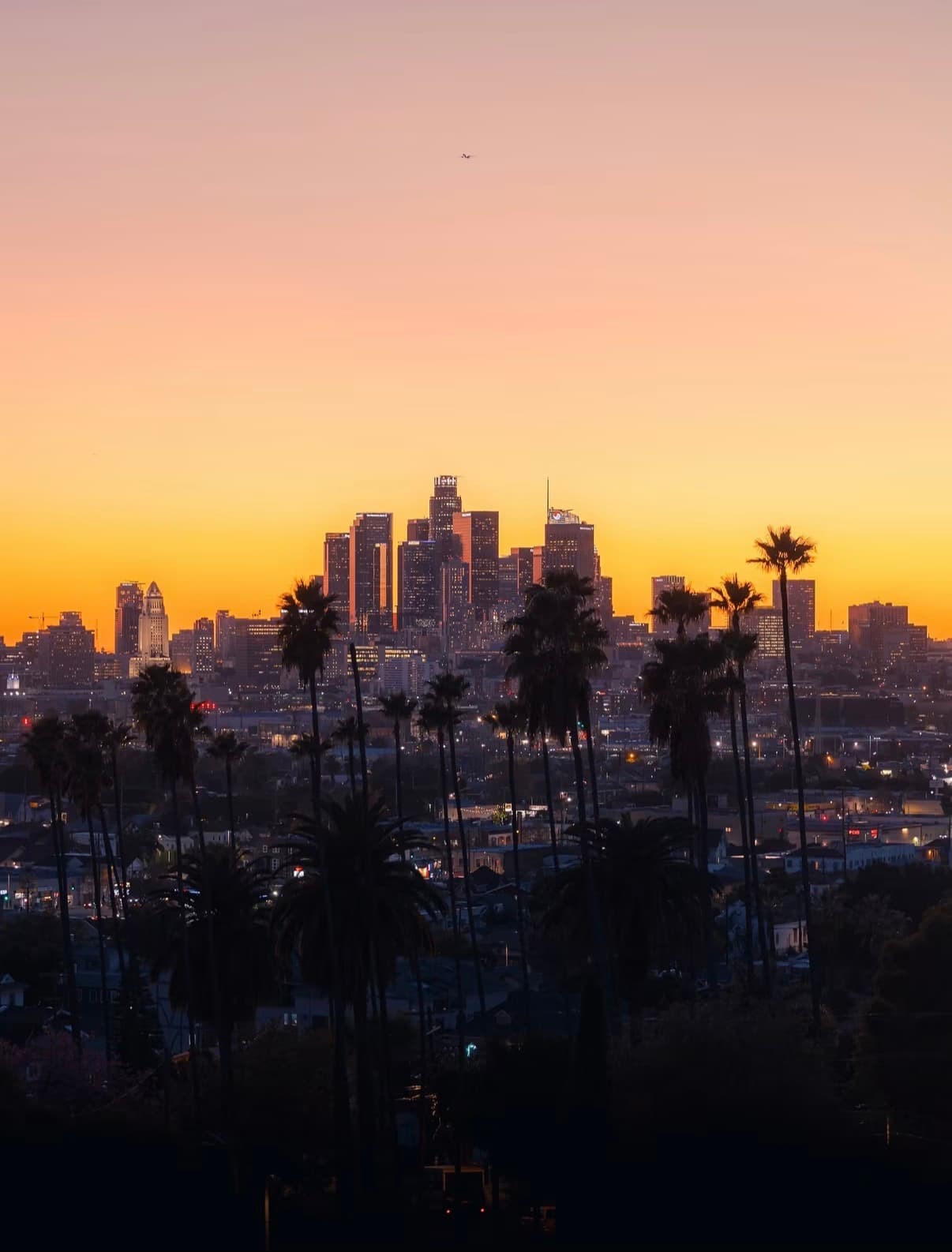 Downtown Los Angeles and palm silhouettes at an orange sunset