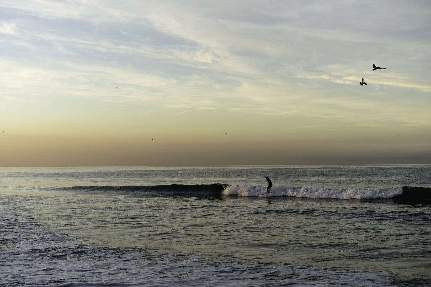 Surfer at sunrise at Santa Monica Beach, California