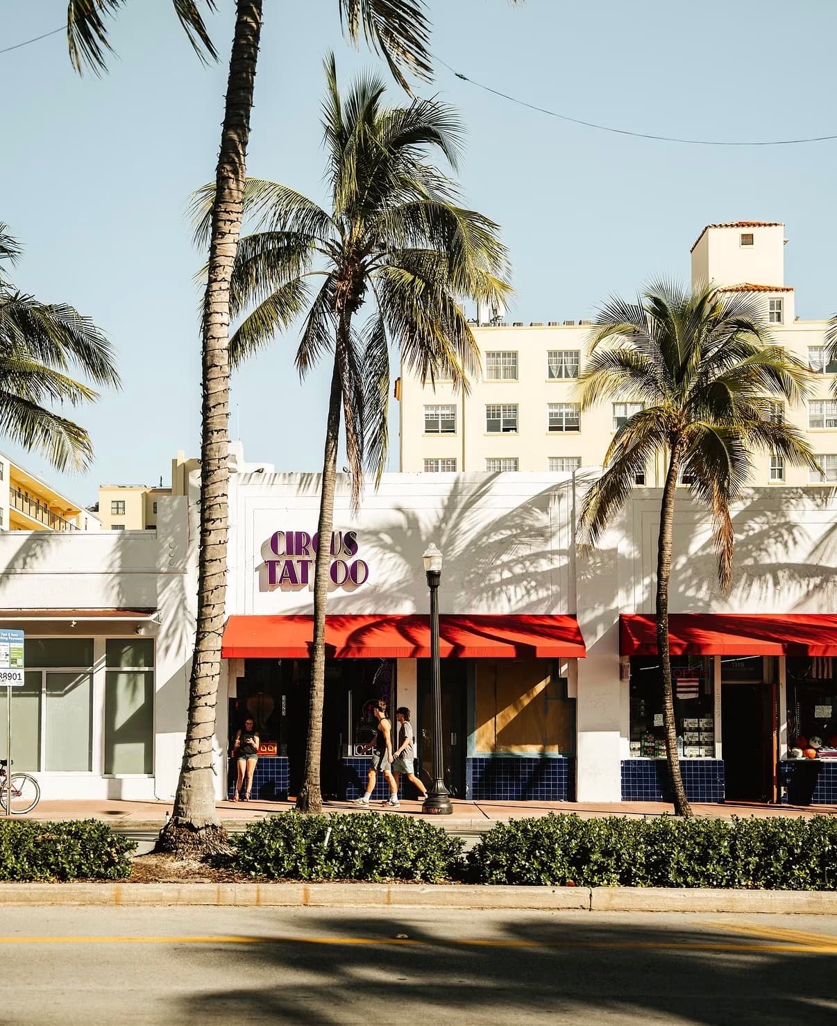 Palms in front of Art Deco storefronts in bright sun