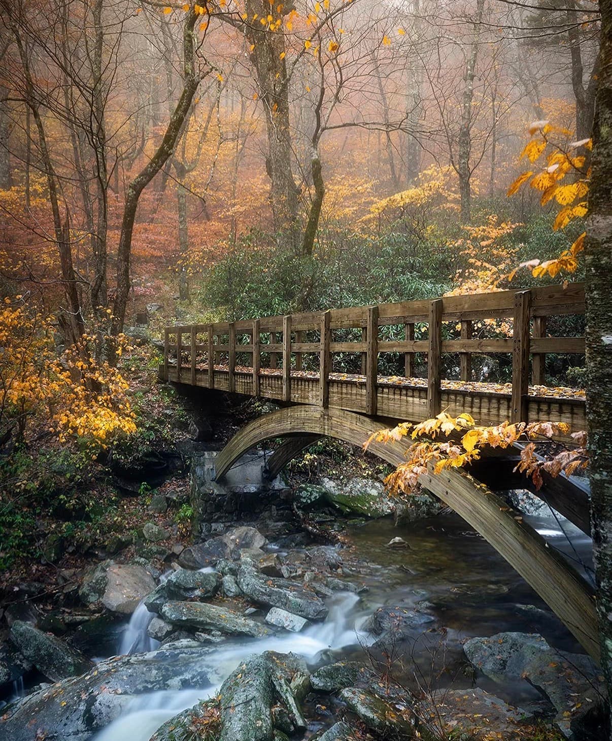 A wooden footbridge arching over a rocky creek in autumn woods