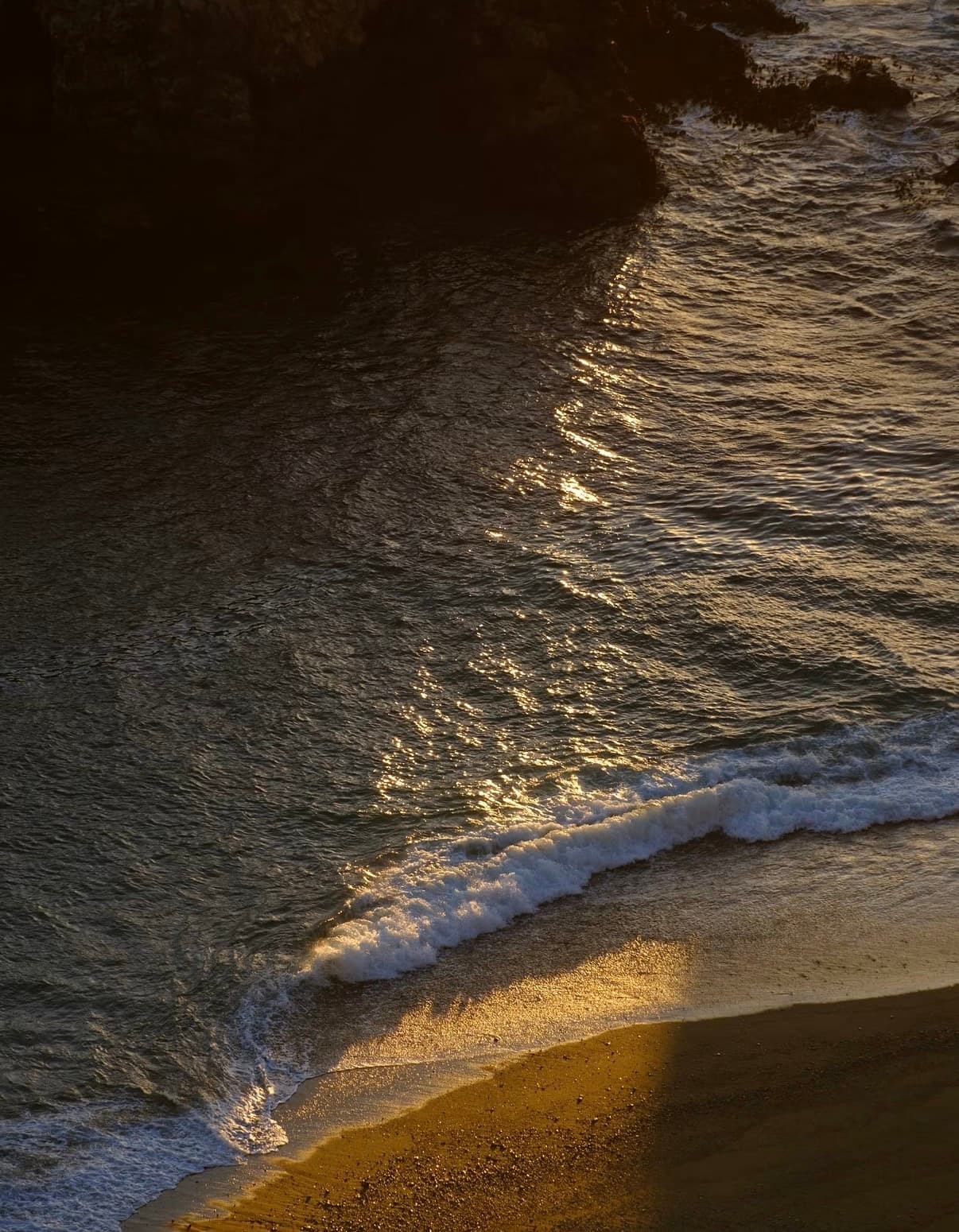 Late sun on a wave rolling onto golden sand