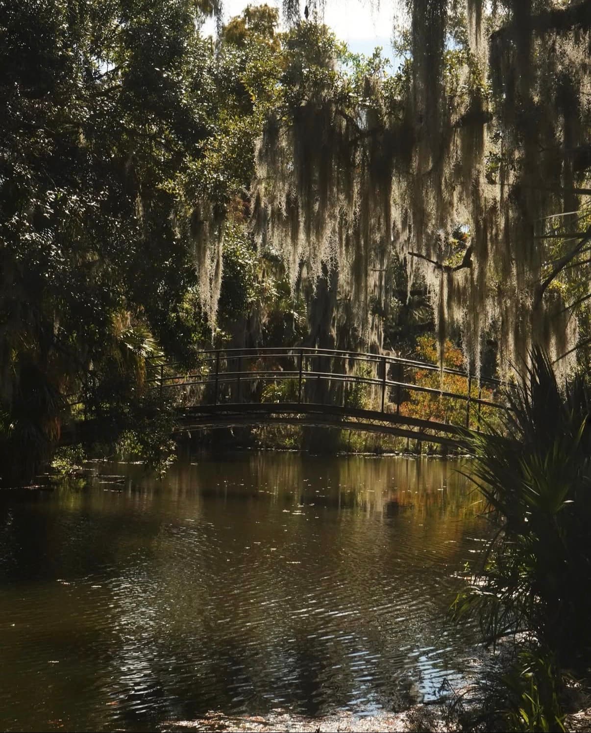 A footbridge over still water beneath moss-draped oaks