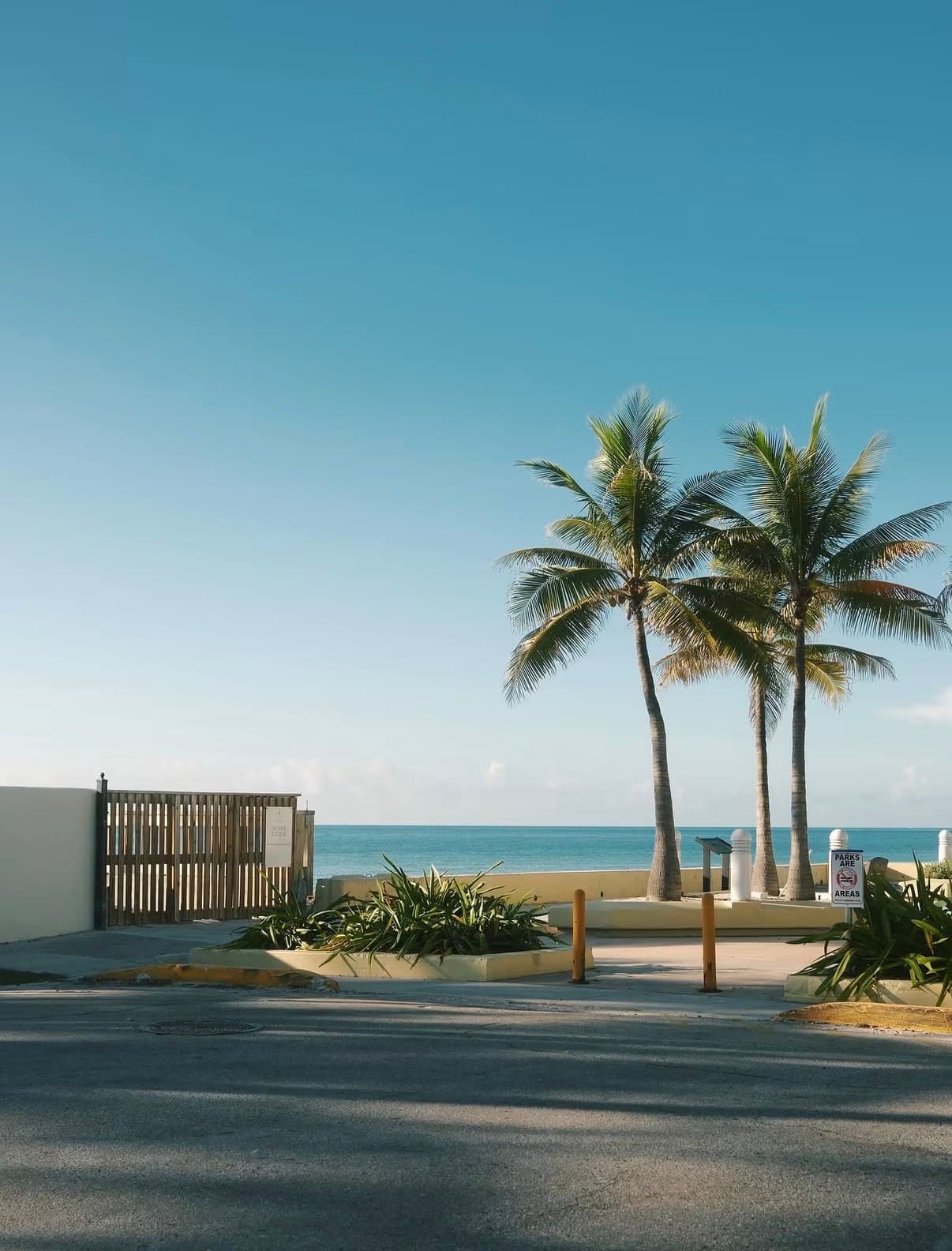 Palms at the end of a quiet seafront street in morning light