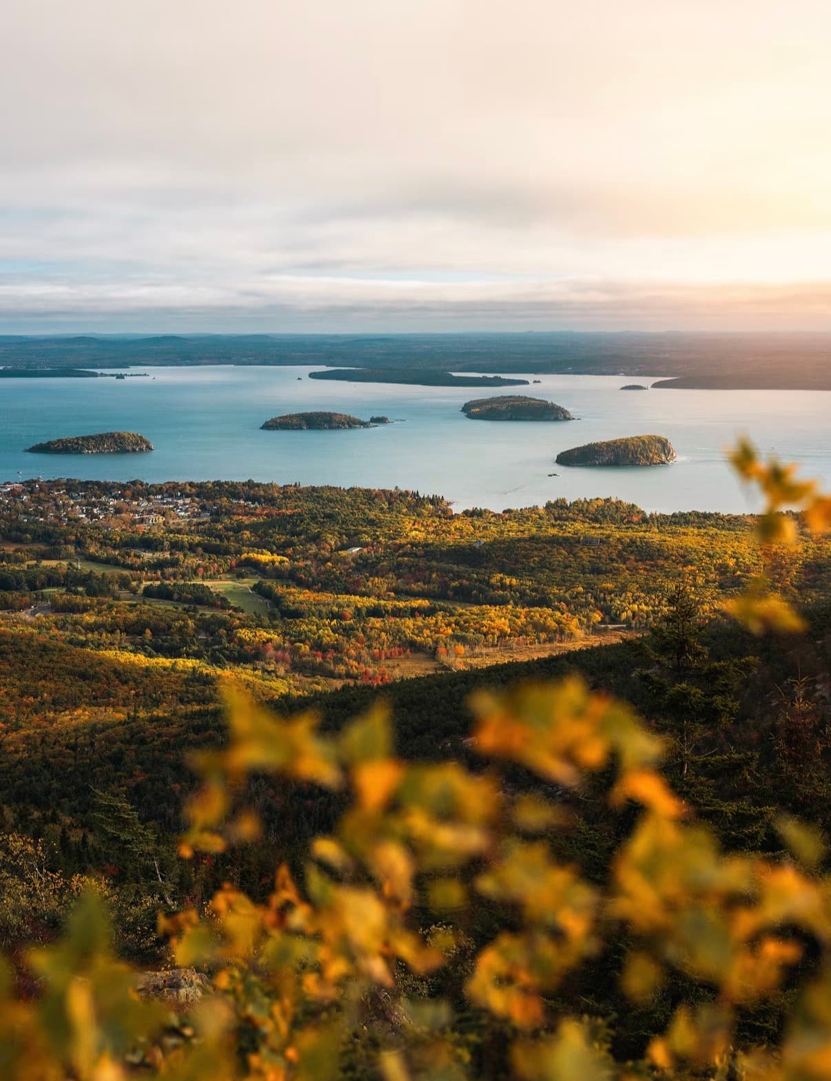Wooded islands scattered across Frenchman Bay below autumn trees