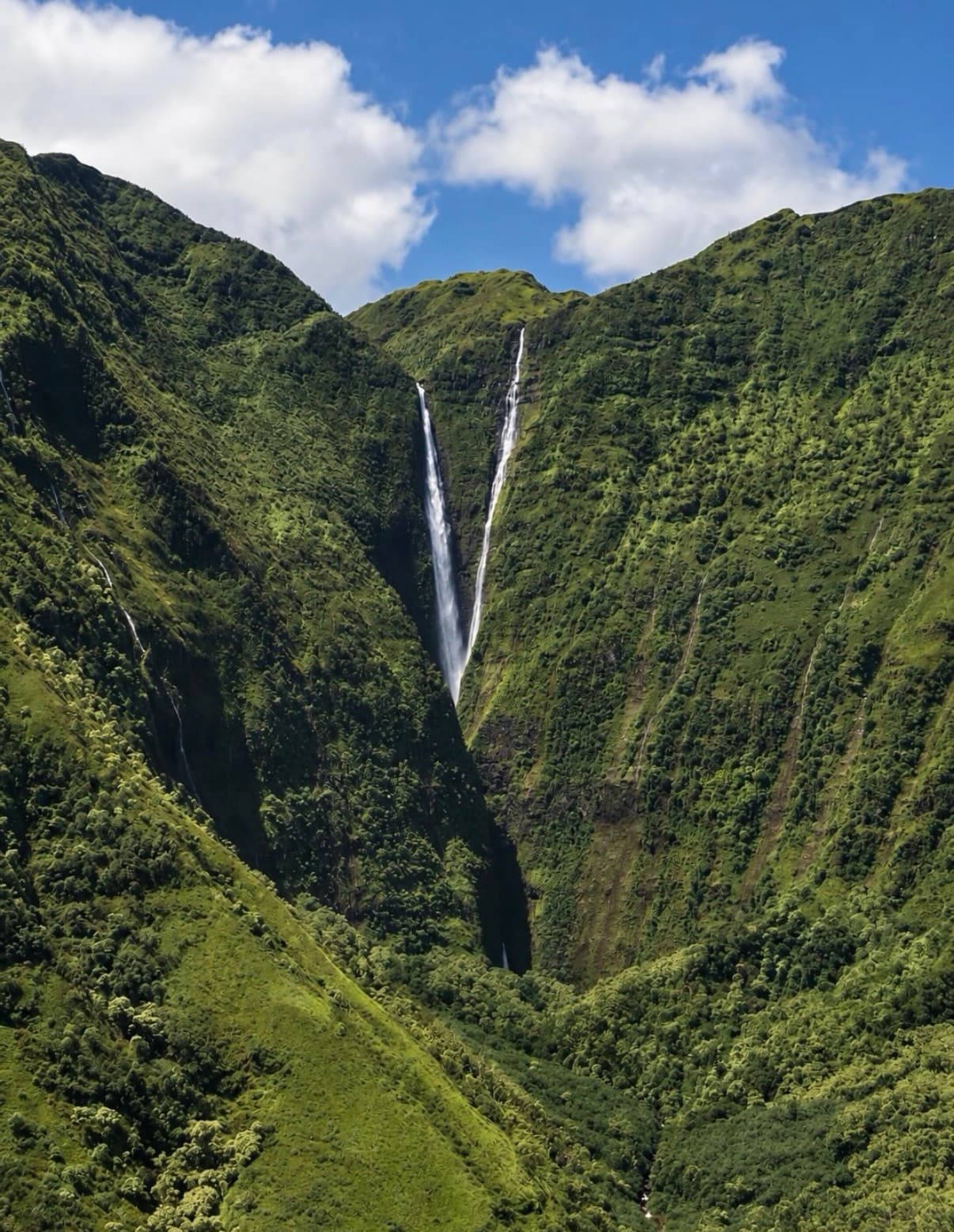 Twin waterfalls dropping down a steep green valley
