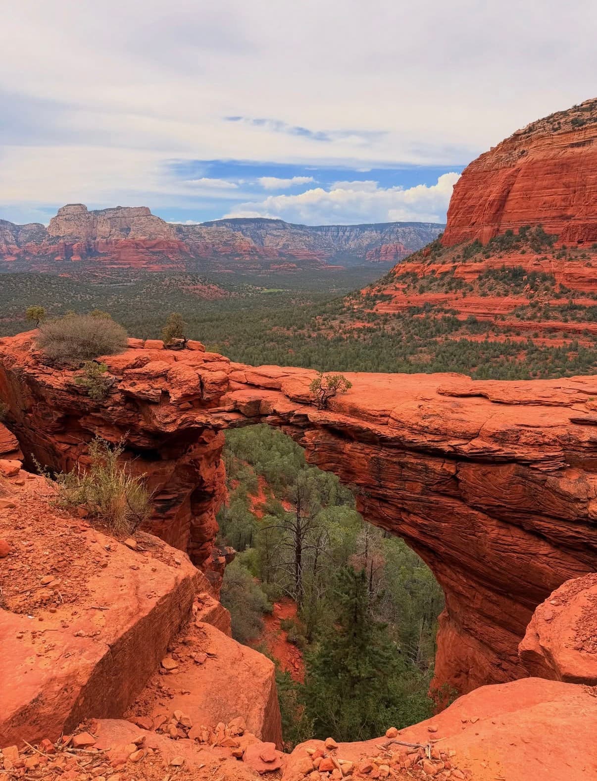 A natural sandstone arch spanning a green canyon