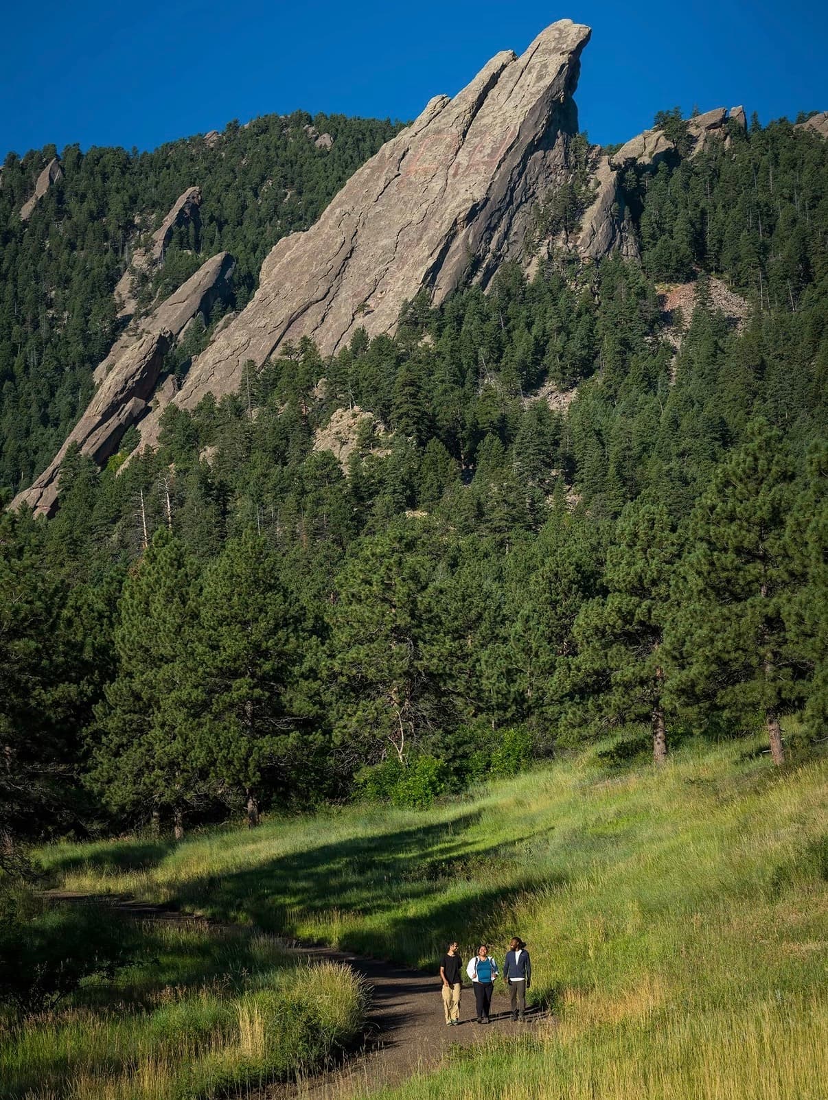 Hikers on a grassy trail below tilted rock slabs rising from pine forest