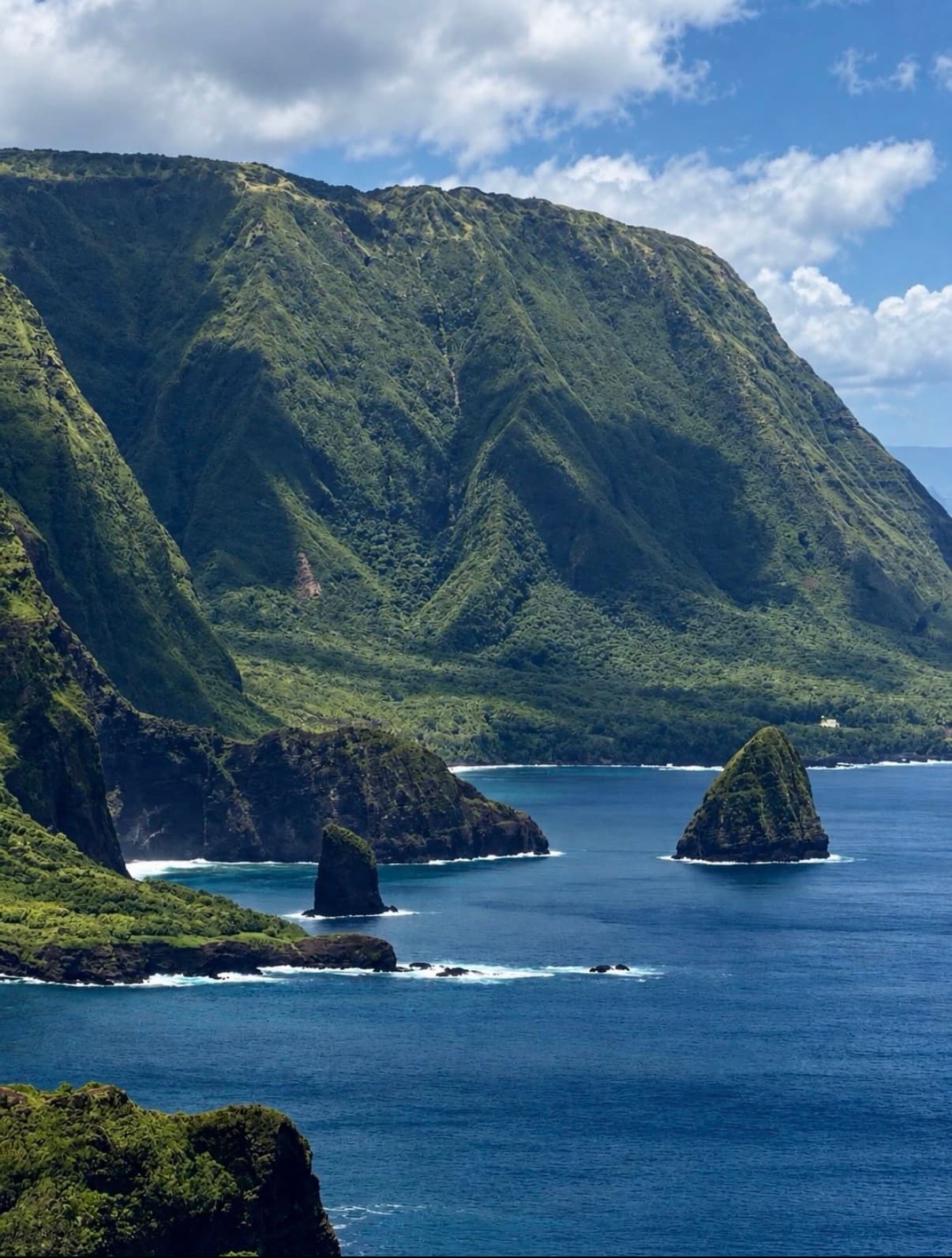 Towering green sea cliffs and rock stacks rising from deep blue ocean