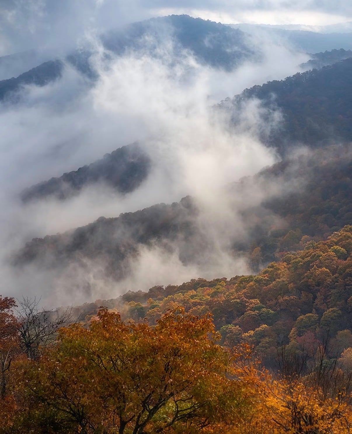 Mist drifting through layered Blue Ridge valleys above autumn trees