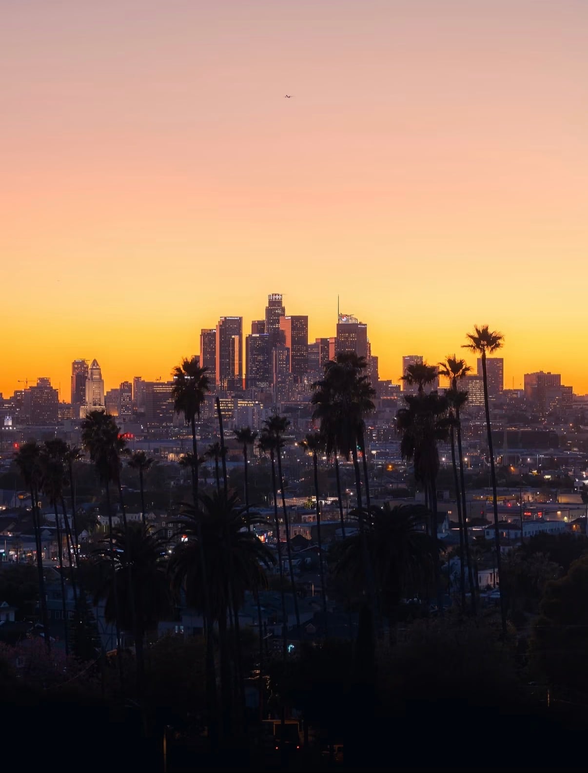 Downtown Los Angeles and palm silhouettes at an orange sunset