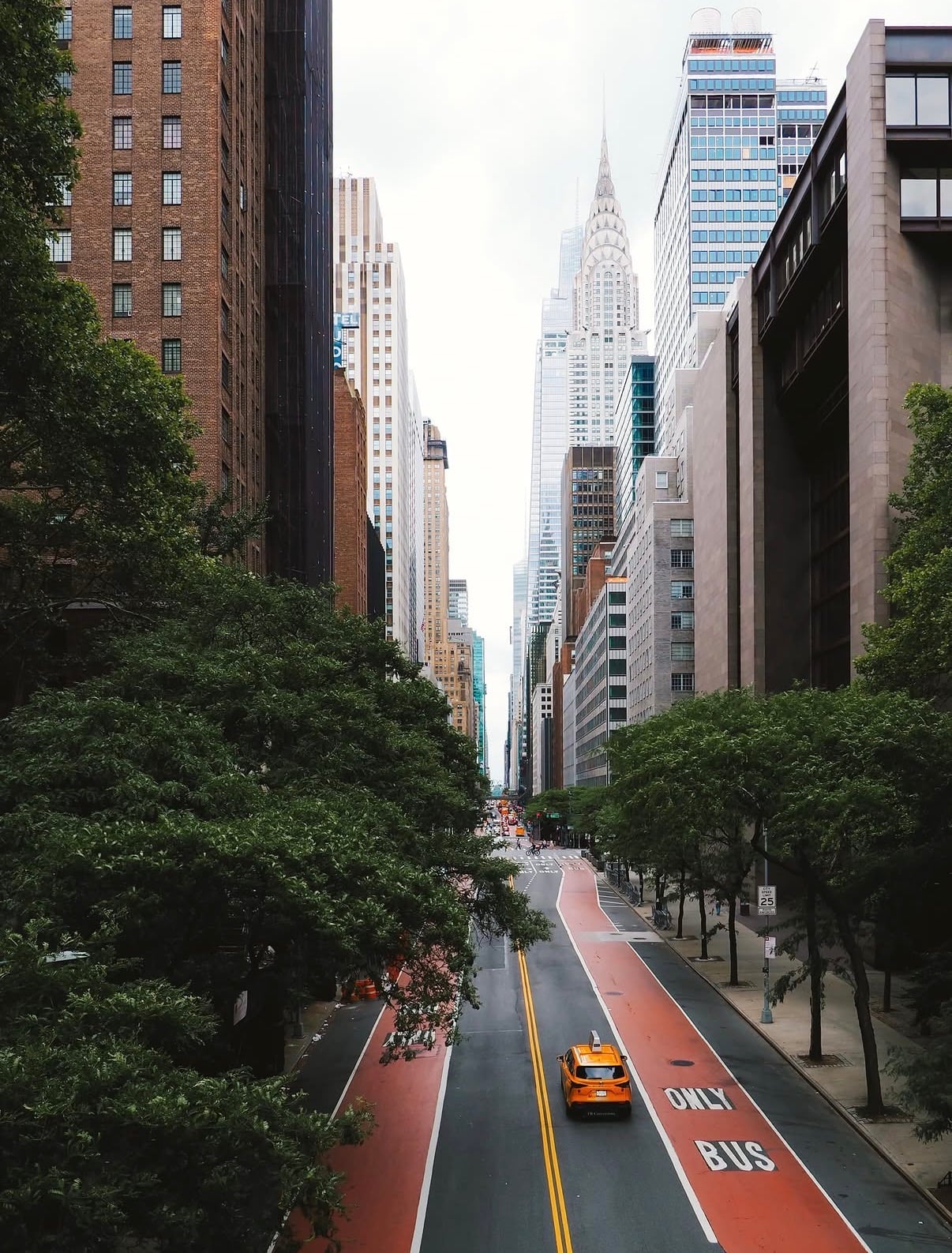 A tree-lined Manhattan avenue running toward the Chrysler Building