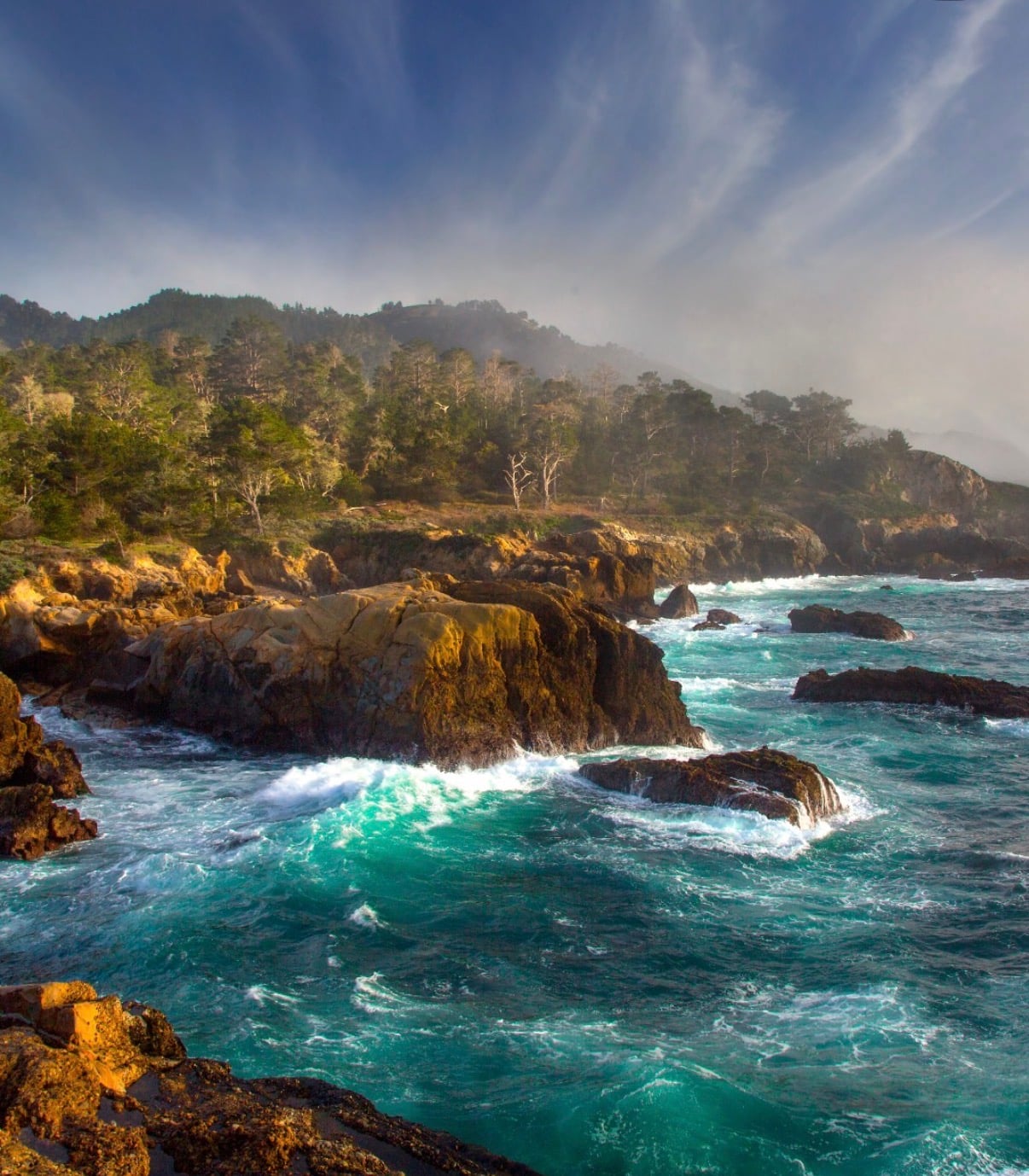 Surf breaking on a rocky cove below cypress-covered bluffs