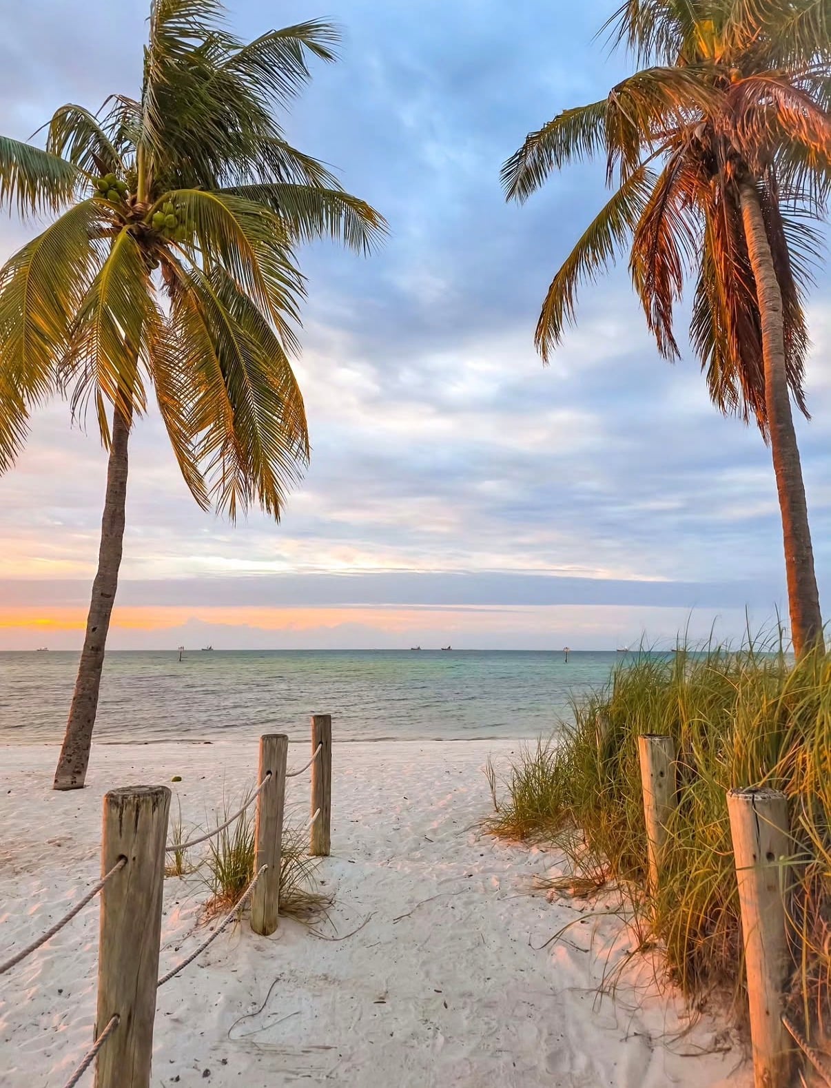 Palms and rope fencing on a white-sand beach at dusk