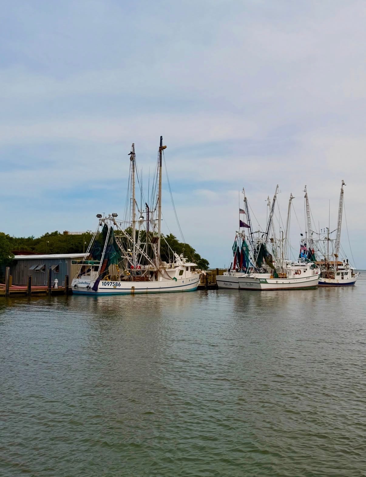 Shrimp boats moored at a Lowcountry dock