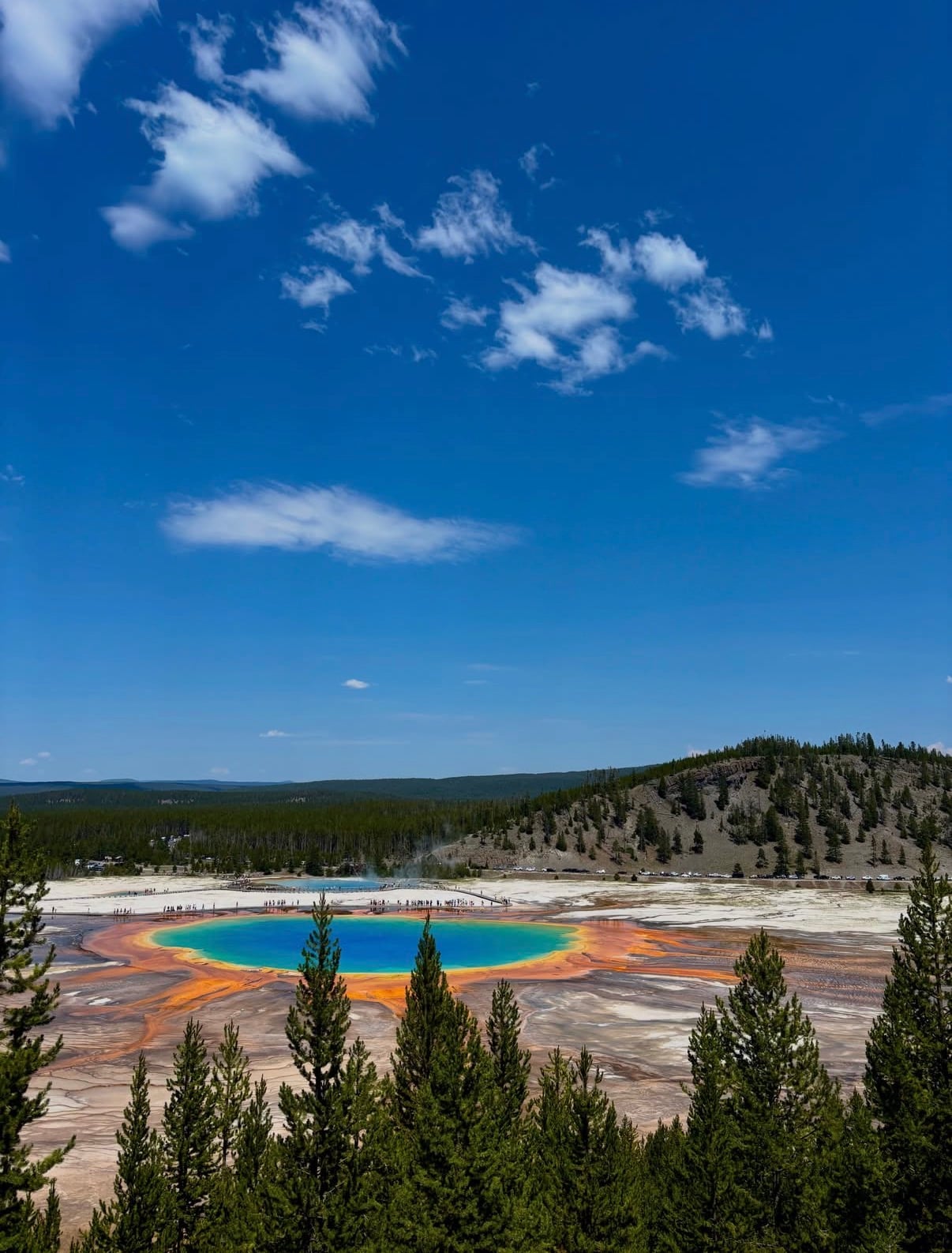 Grand Prismatic Spring's rainbow rings below forested hills under a deep blue sky
