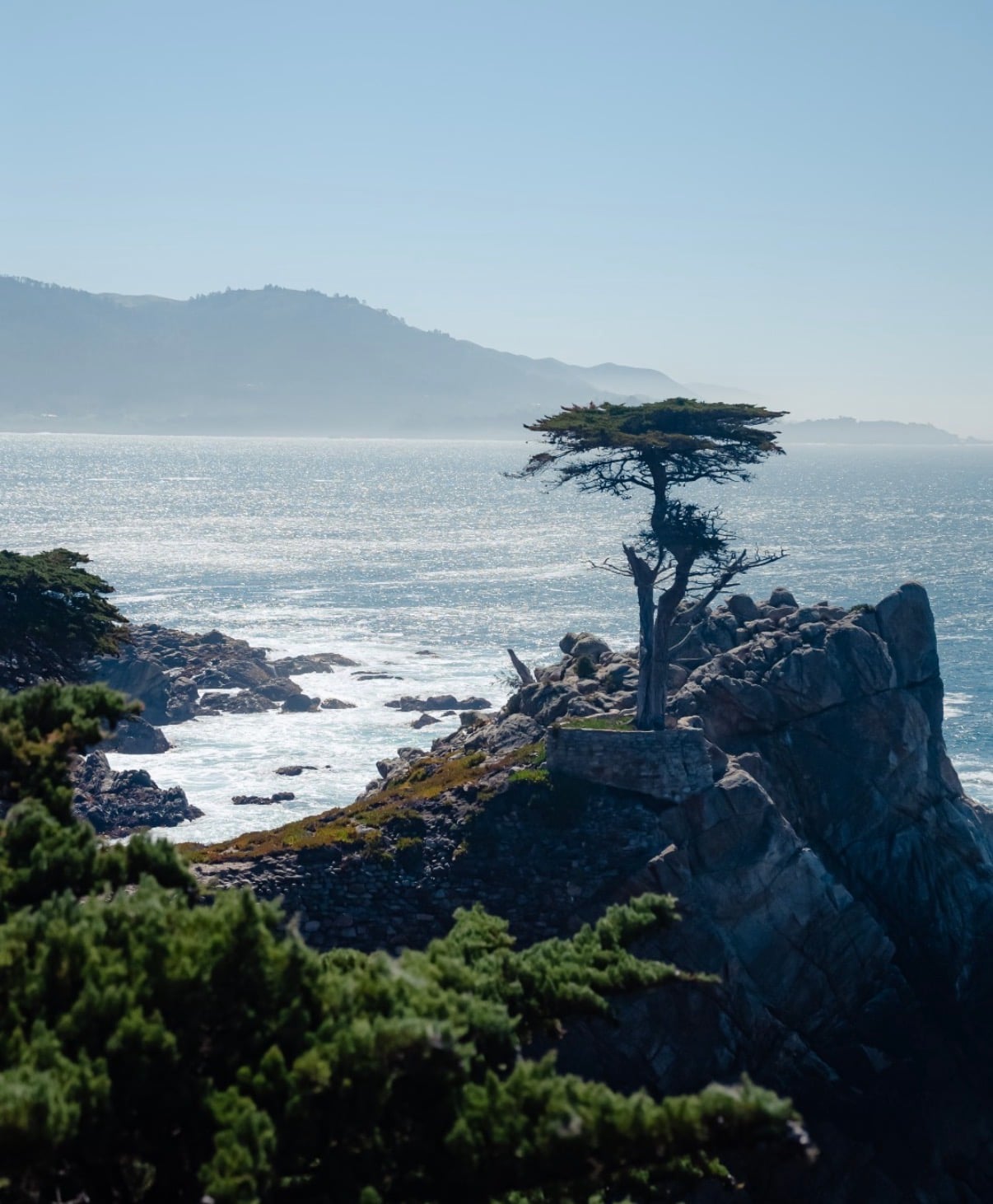 The Lone Cypress on its granite outcrop above the Pacific
